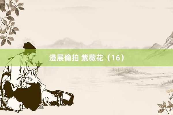 漫展偷拍 紫薇花（16）