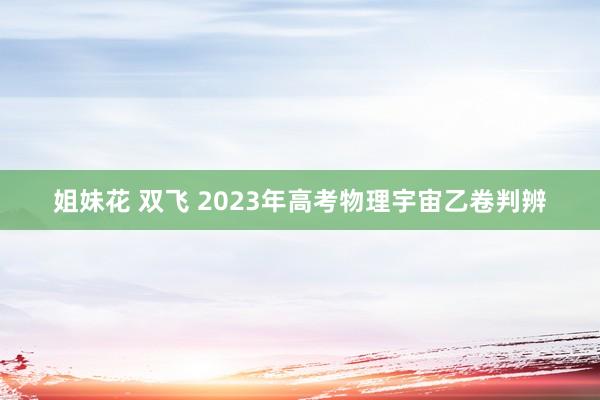 姐妹花 双飞 2023年高考物理宇宙乙卷判辨