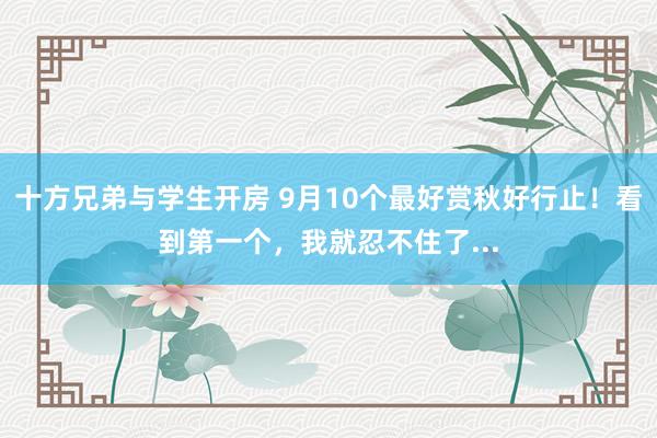 十方兄弟与学生开房 9月10个最好赏秋好行止！看到第一个，我就忍不住了...