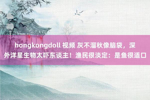 hongkongdoll 视频 灰不溜秋像脑袋，深外洋星生物太吓东谈主！渔民很淡定：是鱼很适口