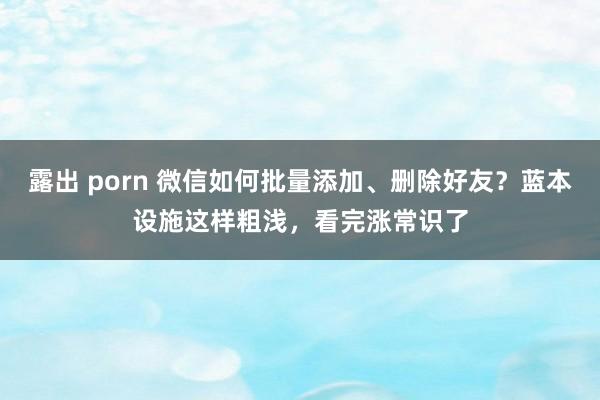 露出 porn 微信如何批量添加、删除好友？蓝本设施这样粗浅